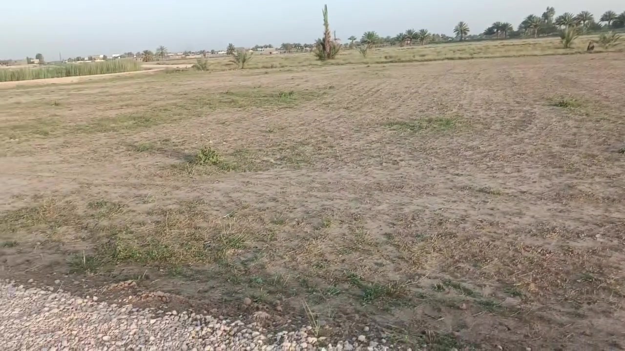 يا الله عرض مميز 
سلام عليكم بسعر مناسب 
تقسيم آلاف جديد كلش مرتب 
طابو زراعي سند 25 تحويل مباشر
خدمات كامله
يصير سكن يصير مزرعه او استثمار 
مكان كلش مرتب وهدوء 
العفو حله بزل حجي علي شارع الرسول 
التفاصيل أكثر بالفيديو 
السعر والتفاصيل أكثر خاص او الاتصال على الارقام او المراجعه مكتب الرحمن حله شارع 100 
#ملاحظة# لمن يرغب في
 عرض عقار او ارضه طابو صرف او طابو زراعي عليه مراسلتنا او الإتصال
***********
***********

