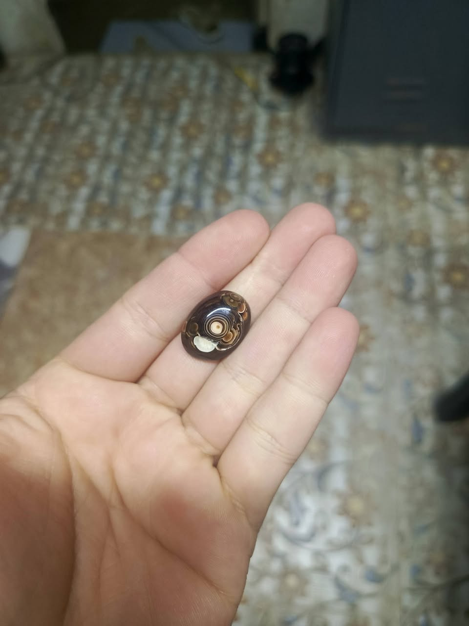 للبيع


**إذا كنت صاحب هذا الإعلان وتريد حذفه لأي سبب، رجاءا أرسل رسالة إلى الدعم الفني**