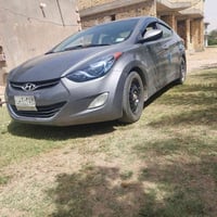 النترا للبيع صبغ قطيتين اثر جرد وترهم حتا اقصاد 07724128623