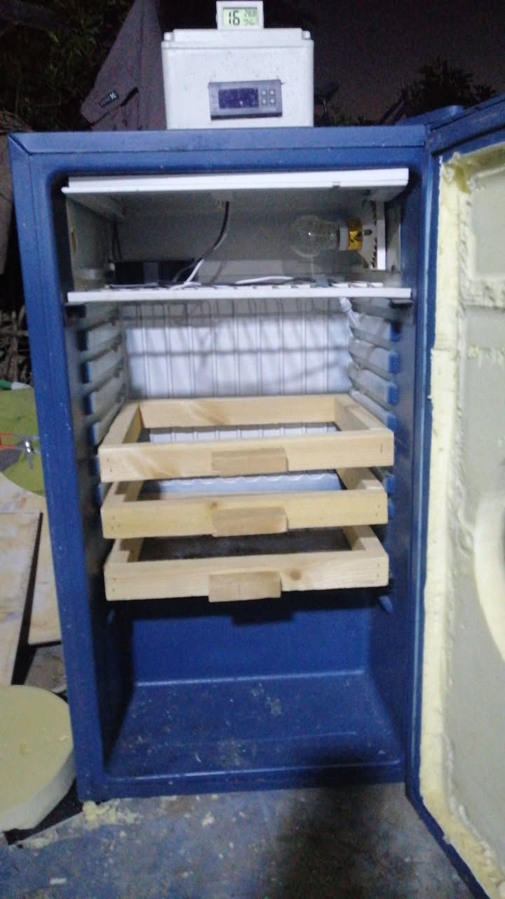 جاروشه أعلاف الدواجن
قناتي عله اليوتيوب فقاسات سيد سلام *********** تصنيع وبيع جميع الجاروشات والفقاسات
