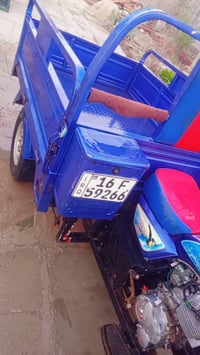 ستوته مديل 23 • تايرات چوبلس • كله ابلادي