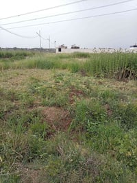 دوانم • سند ٢٥ • الحمدانية الثانية