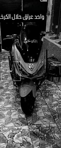 كوست 2025 • جديدة • ديالى الربيع