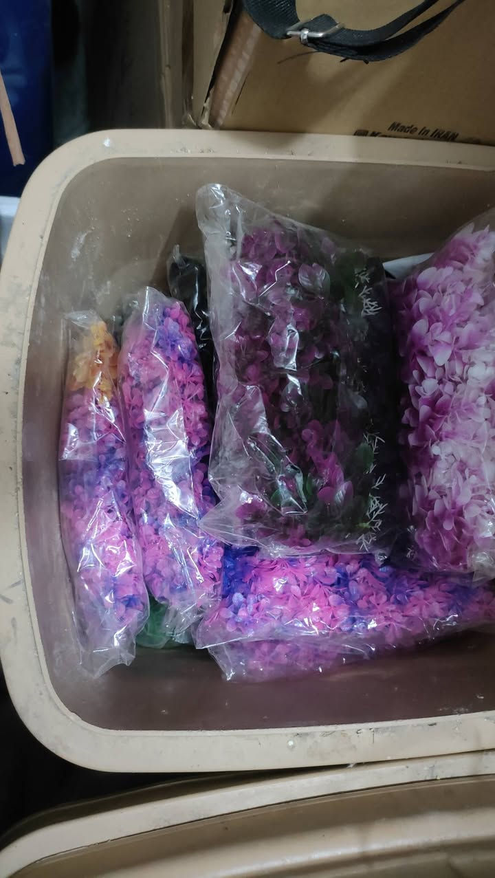 الى الاخوه هواة تربية اسماك الزينه. عندي احواض جديده بالباكيت واخرى مستعمله وباسعار زهيده اقل من الجمله كما توجد اعلاف ومواد مختلفه لنفس الغرض بعض الاحواض كبيره بطول 2م واخرى 1م ونصف متر وحتى دوارق دائريه صغيره


**إذا كنت صاحب هذا الإعلان وتريد حذفه لأي سبب، رجاءا أرسل رسالة إلى الدعم الفني**