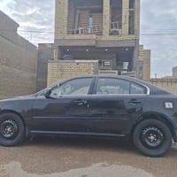 ٢٠٠٩ • صبغ • فقدان لوحه