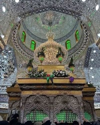 مهران الاعاجيبي • النجف الاشرف • زيارة الامام علي