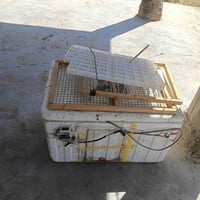يوجد فقاسه للبيع  07823578729