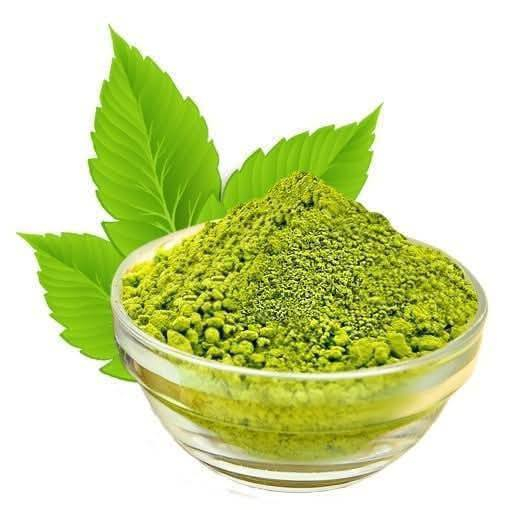 السلام عليكم متابعينا 🤍.
نعلن عن توفر مجموعه جديده من شتلات شجرة الحناء او حنة الفاو☘️☘️

 ارتفاع اقل المتر ونص تقريبا✨
السعر ٩ الف فقط🔥
 الوصف النباتي بالأسفل.

شجرة الحناء 
اسمها العلمي Lawsonia Inermis 
شجرة الحناء تنمو طبيعياً في منطقة الحجاز حيث توطن هناك في الترب الفيضية حول مجاري المياه. ويزرع في مناطق المملكة كافة بوصفه نبات زينة شجيرياً. 🌳🌳

والنبات سريع النمو ويصل في نموه إلى حد عدِّه شجرة صغيرة. وللحناء طبيعة نمو غير منتظمة، وكثير التفرع. وقد يصل ارتفاع النبات إلى 6 أمتار. 

واللحاء بني إلى رمادي اللون. والأوراق صغيرة الحجم، ولونها أخضر باهت مائل للرمادي، وبيضاوية الشكل، اعتماداً على مدى توافر الماء. و ازهار الحناء متعددة عطرية عادة ما تكون بيضاء اللون، وأحياناً تكون محمرة اللون في نورات عنقودية غير محدودة تظهر في فصل الصيف. 🌷

والثمرة علبة كروية الشكل خضراء إلى بنفسجية اللون تحتوي على العديد من البذور. ويكون التكاثر بالبذور أو العقل ولا بد من معاملة غلاف البذرة السميك بمعاملة ما قبل الإنبات قبل الزراعة. ويحتاج الحناء إلى الزراعة تحت أشعة الشمس المباشرة والحرارة المرتفعة، لكنه يتحمل الصقيع الخفيف🌨️🌨️

و شجرة الحناء يتحمل الجفاف، ويحتاج إلى الري المعتدل والري الغزير في الصيف لتحسين مظهره. 🌸🌸

ويفضل النمو في الترب الصخرية والرملية، جيدة الصرف، وهو كذلك متأقلم على الترب الثقيلة، والترب الطينية الخصبة. وهو نبات غير متحمل للملوحة. 

ويتعرض الحناء للإصابة بعدد قليل من الآفات. وللحناء أهمية اجتماعية في حياة المسلمين حيث يستخدم في مراسيم الزواج، وذلك بطحن الأوراق وعمل عجينة منها تستخدم في تزيين الكفين وباطن الرجلين أو صبغ شعر الرأس. وإذا أدخل في مكونات الحديقة؛ فإنه يعطي لها رائحة فواحة. وهو كذلك مناسب للزراعة بوصفه سياجاً، ورغم أن التقليم يزيل الأزهار ذات الرائحة الزكية؛ إلا أن الحناء يحتاج إلى التقليم لجعله أكثر تماسكاً.🌳🌳☘️

📍 متوفر توصيل لجميع محافظات العراق 🚗🚗 
📍 للحجز والاستفسار يرجى مراسله الصفحه او مراسلتنا على واتساب من خلال الرقم:
***********
