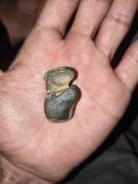 بيع • مراوس