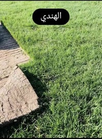 ثيل ديالى • ثيل متنوع • توصيل لجميع المحافظات