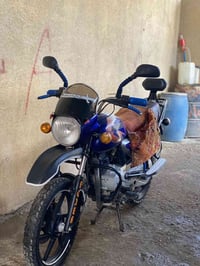 بوكسر • مكفول • موديل 20