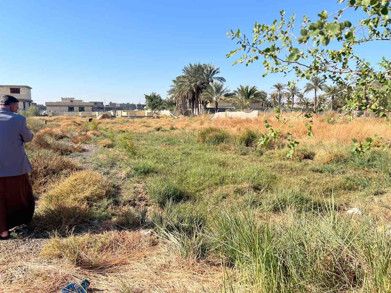 دونم ع الحولي للبيع
سند 25 مباشر بأسم المشتري والاهم بي #اجازة_بناء
 
- داخله بيت مساحة 300م مبني لحد الشبابيك
-ماء اسالة + بير 
-تشجير نخل بمحيط الدونم 
-دخوله مباشر من الحولي خلف محطة وقود الصفا

للإستفسار ...

***********
