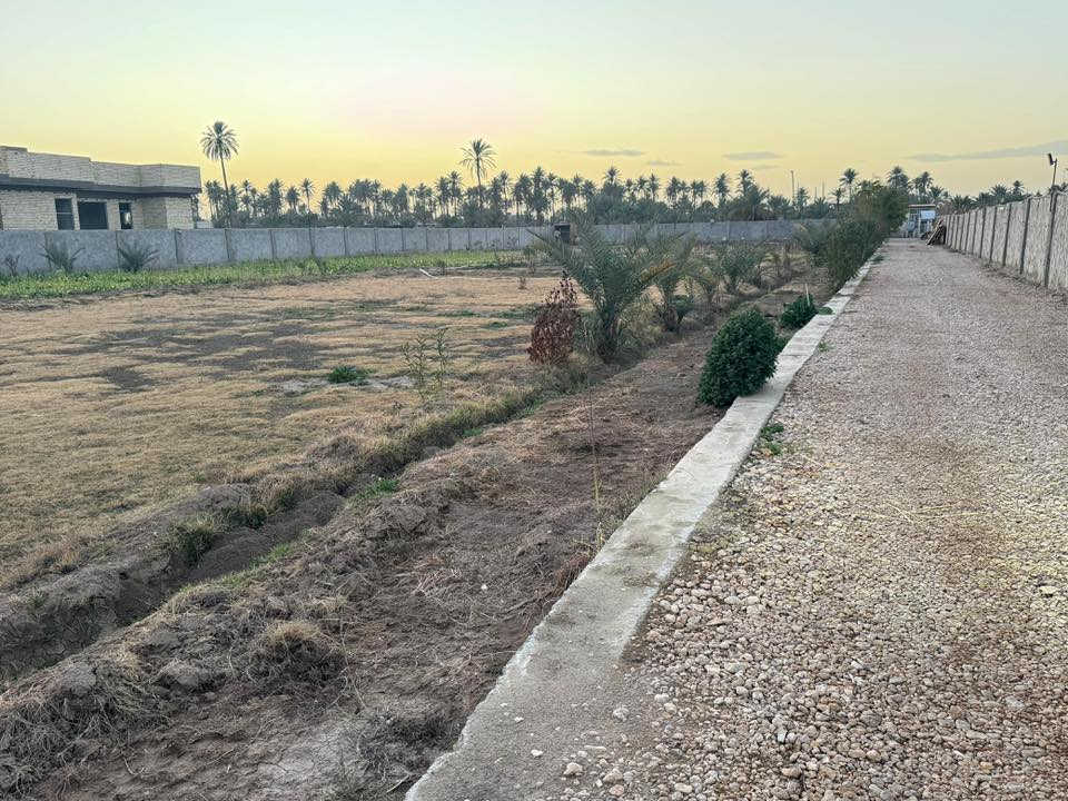 سلام عليكم مزرعة للبيع دونمين سند ٢٥ زراعي ابعاده ٤٢ متر الواجهة والنزال ١١٩ متر وبي نهر وبير و تحتوي على استراحة وحمام وسياج بلوك ملبوخ ومنثور من الخارج والاساس والاعمدة كوكنريت وبي تقريبا ٢٠ نخلة واشجار متنوعة الموقع طريق كربلاء -النجف مفرك آل چباس على نهر الاعيوج السعر ٣٥٠ مليون والي يحب يتواصل على الرقم ***********
