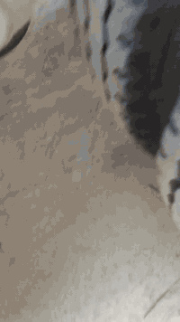 للبيع عربانه دار القصاب ذرعه 27 ونص للاستفسار 07815247515