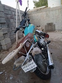 تايكر ٢٤ • اوراق اصولي • كفالة عامه