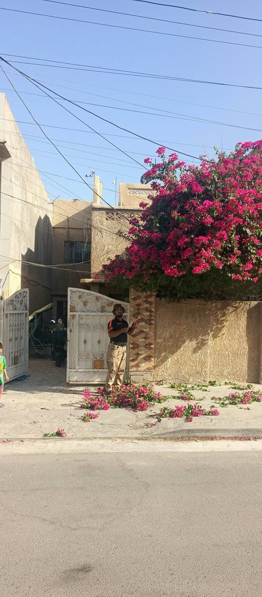 سلام عليكم يوجد كادر ادامه الحدائق والزراعه تكريب نخل ديكورات حدائق معالجات تربه زميج متوفر بغداد فقط
*********** #الجميع

