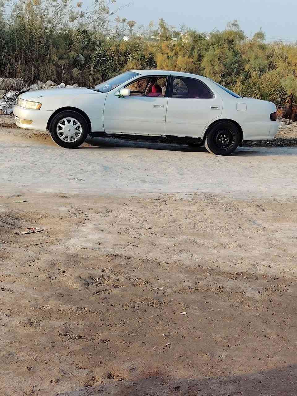 كرسته البيع مكفوله***********
