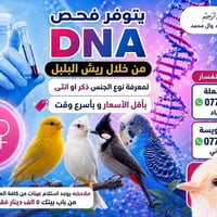 بسم الله الرحمن الرحيم اللهم صل على محمد وآل محمد ✨ 🔬 يتوفر فحص DNA لل...