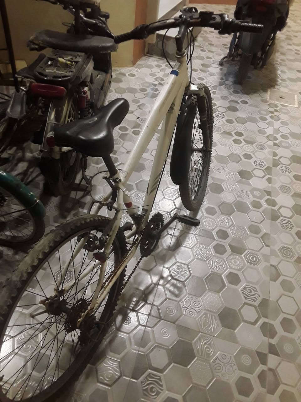للبيع بايسكل جبلي نضيف حيل بي زنجار لان متروك  كل شي شغال
مكاني موصل جاني الايسر حي المزارع 
السعر 45 وبي مجال قليل حيل


**إذا كنت صاحب هذا الإعلان وتريد حذفه لأي سبب، رجاءا أرسل رسالة إلى الدعم الفني**