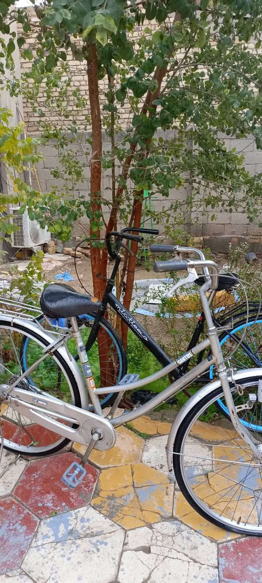 باسكل ياباني عدد  2 مكان ديوانية 
ثنينهن ب150
اذا مفرد
السعر السلفر 85 والاسود75   *********** ديوانية, القادسية
