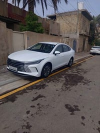 دسترويل • ٢٠٢٥ • كربلاء