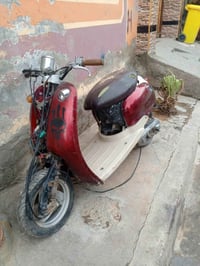 عبد حليم • كابريتر • ديالى بلدروز