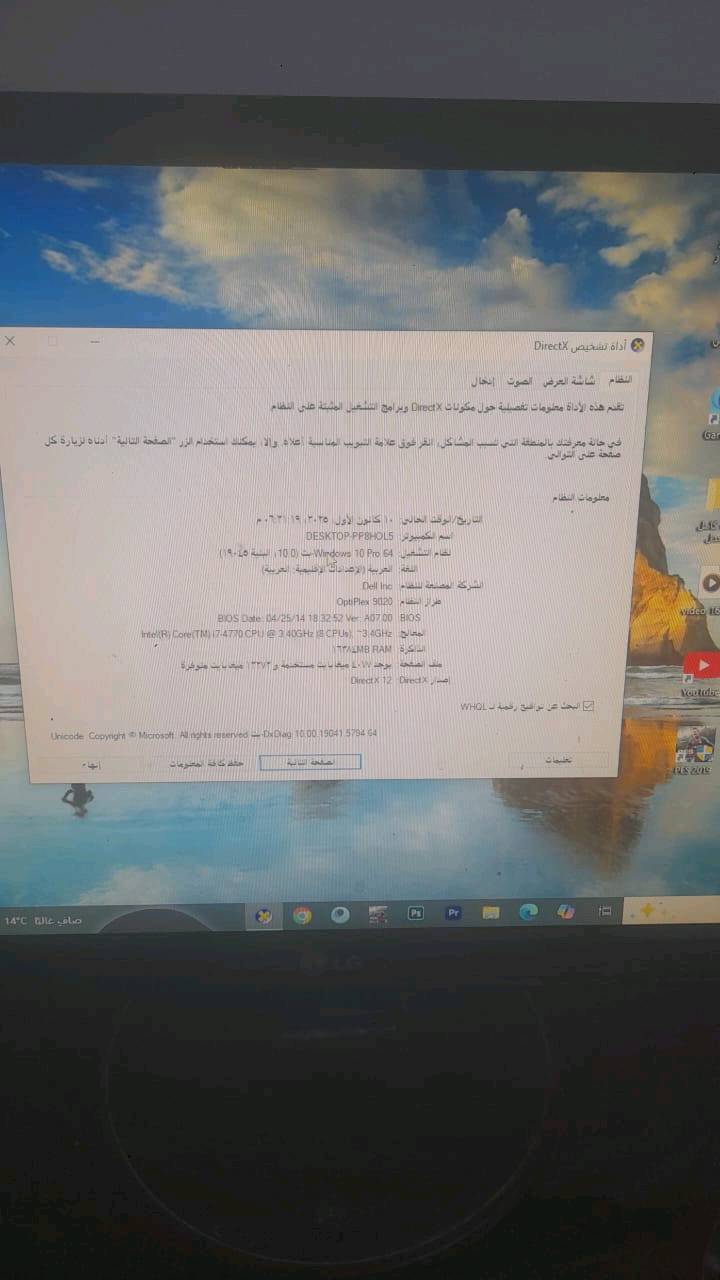 الشعلة السلاميات