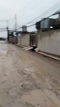 حي الأيمان • تسليم فوري • ١٧٠م