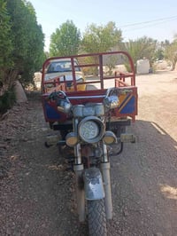 ستوته • للبيع • درجة اولى
