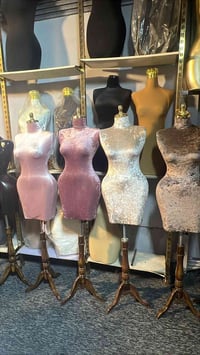 سعر جمل07766550922 اسعر 45 توصيل مجاني