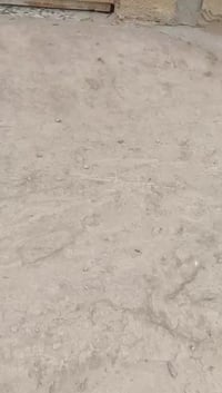 حي البتول • ١٠٠م زراعي • مشمول بالتطويب