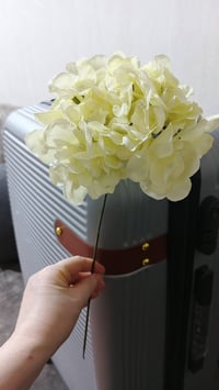 امزونيات • ديكور منزلي • اكسسوارات