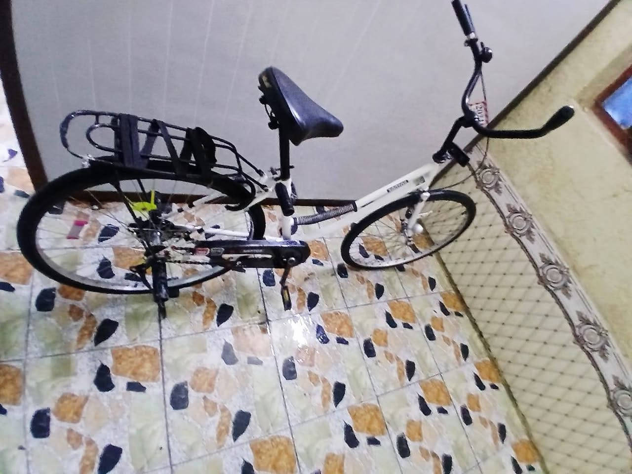 السلام عليكم باسكل لل البيع حجم 26 سانتوس بدون جاملقات الباسكل نضيف انضف من الصوره الله شاهد السعر 85 وبي مجال المكان ناصريه مركز تجي وشوف الباسكل بعينك التواصل ويه هاذا الرقم ***********
