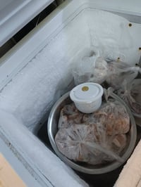 مجمّدة بيكو أصلي • براد ماي حار بارد • فلتر جديد