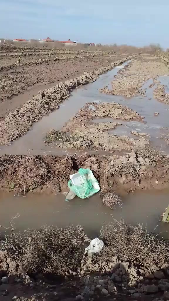 بسم الله الرحمن الرحيم
توجد ارض زراعيه ٢دونم مزروعه نخل جديد 
طابو زراعي ٢٥ابو غريب قريه السميلات 
كهرباء قريبه عليها كلش مي بيها وبسدها شاليهات ومزارع 
السعر و استفسار ع هاذا الرقم 
***********
منا ومنكم التوفيق
