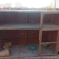 قفص • طول ٢م • عرض ١٫٥م