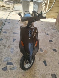 هندر • نحل • سلف
