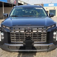 باليسايد • ٢٠٢٤ • مشحونه البصرة