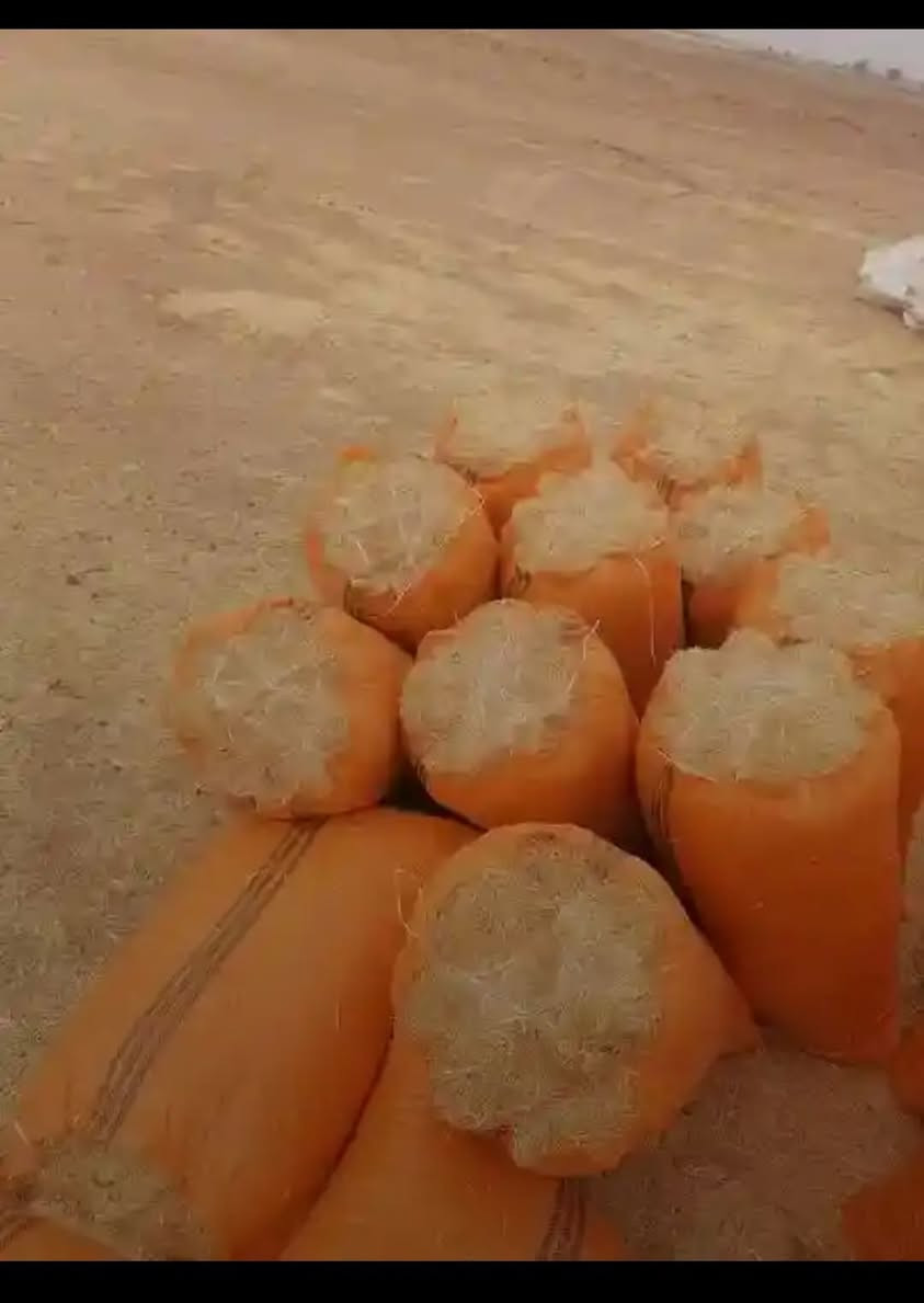 السلام عليكم يوجد الدينا تبن درجة ولة راس كوم الحجم الكيس 60سعر الزوج 3250و التوصيل مجاني بلد الدجيل الضلوعية يثرب السحاقي ناحية المعتصم العذية خابر ودلل علينة ***********
