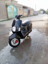 مراوس بوليس • ٢٠٠٩ • المسيب