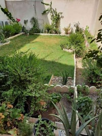 كربلاء طويريج • ٢٤٠م • طابو زراعي