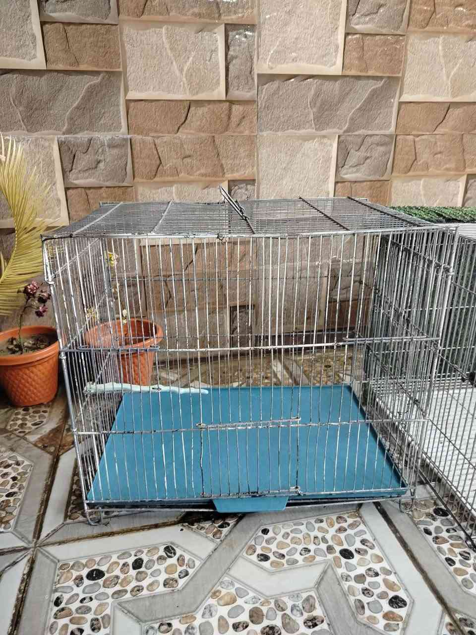 السلام عليكم 
اقفاص للبيع
ابو جكامج 
سعرهم شلع ب 35قفل اقل ما ابيع
مكاني موصل حي سومر


**إذا كنت صاحب هذا الإعلان وتريد حذفه لأي سبب، رجاءا أرسل رسالة إلى الدعم الفني**