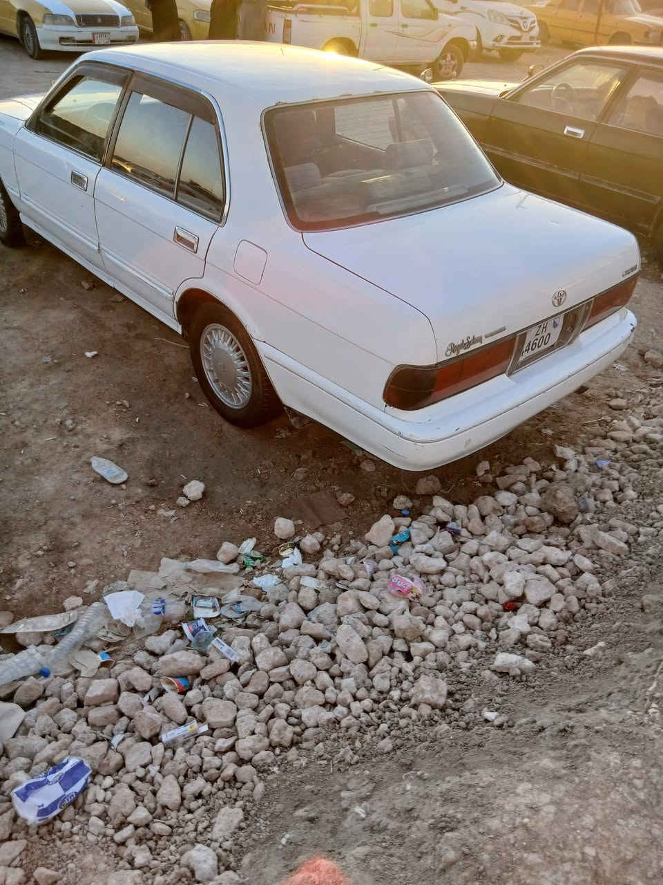 سلام عليكم ارنب لبيع مكفوله عيب شرعي وصوليات وغرمات ونقل جثه مكينه وكير خير من الله سنويه ل28 مكاني سوق شيوخ  الشراي يتصل *********** السعرر58 وبيه مجال قليل
