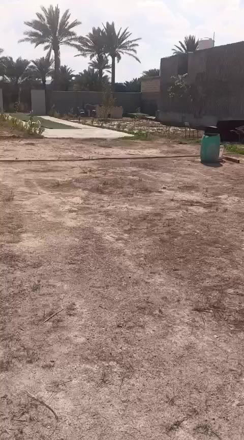 السلام عليكم قطعه 1000 متر طابو صرف 25 ركن علئ شارعين  الوجه 24  تصلح سكن وتصلح شاليه تتوفر في المنطقة جميع الخدمات  العنوان بغداد جانب الرصافه السياحي تبعد عن فلكة حي النصر وحي البتول  10دقائق منطقة  كاسر بوص للاستفسار المراسله علئ رقم الهاتف *********** تحياتنا
