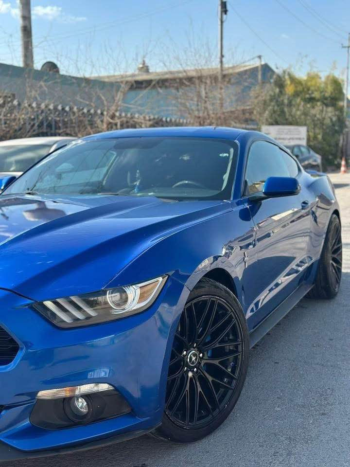 بيع او مراوس

موستنك ستة سلندر 

‏Mustang 2017 V6

كير محرك اكسل شرط

صبغ  3 قطع 

ايرباك فقط ستيرن

ماشيه 85 ميل

صدر امامي خلفي جديد

تبريد كهربائيات شرط

سياره شرط مابيها مصرف نهائيه

رقم اربيل تحويل شرط 

مكان سياره اربيل

سعر 145$ وبي مجال 

للبيع او مراوس شمالي فقط

واتسئاب : ***********

‏ أربيل, العراق
