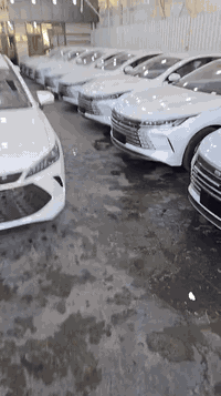 شركة عمر العبيدي لتجارة السيارات الحديثة 
دخول جديد 
بي واي دي 
كين بلس  ، ديستوري
للإستفسار 
***********
بغداد الكريعات 
اوقات التواجد من ١٠ صباحا الى ١٠ مساء
