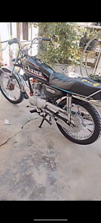 هاما • نظيف • ٢٠٢٤