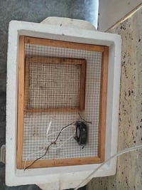 فقاسة للبيع السعر  اتصل علا هاذه  الرقم07744953378 خاص موجود