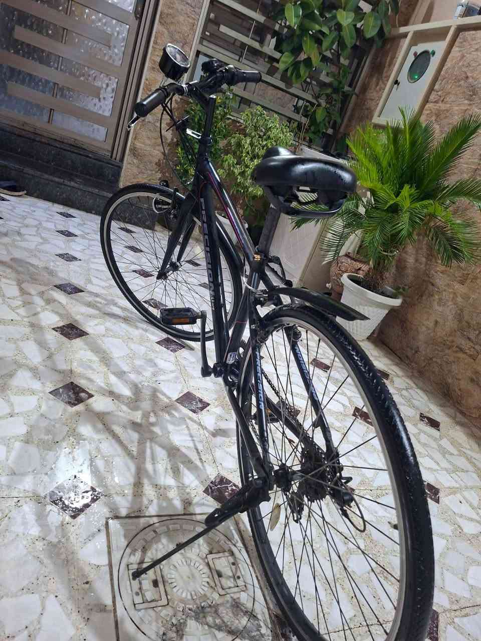 السلام عليكم بايسكل C700 للبيع
شرط كلو شغال وجديد بعدو وكاله العنوان موصل حي الأمن قرب بانزي خانة القاهره السعر 110وبي مجال للاستفسار ***********
