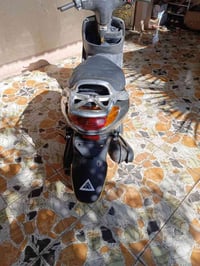 دولفين • ياباني • سلف هندر